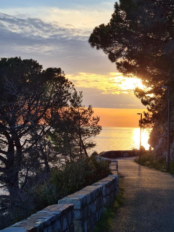 Olive Garden Apartment Petrovac na moru Exterior foto